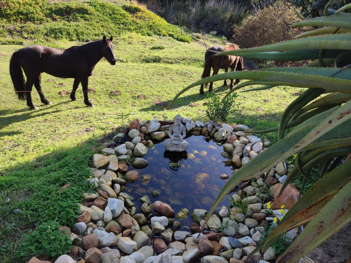 The Riverstone - Romantic Hideaway By The River - Loadshedding Free! Villa Napier Eksteriør billede